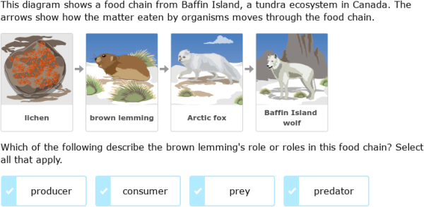 IXL - Identify roles in food chains (Year 4 science practice)
