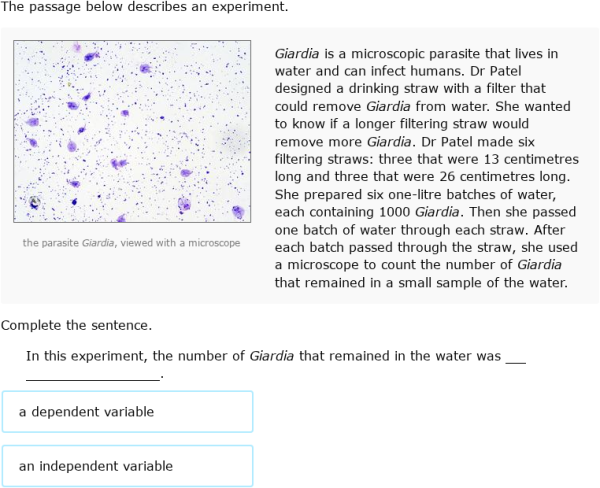 IXL - Identify independent and dependent variables (Year 9 science ...