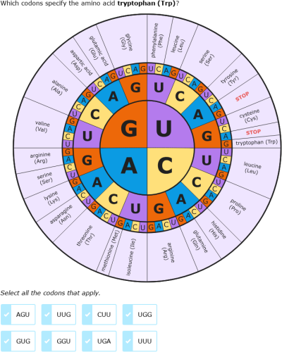 IXL - Read a codon wheel (Year 10 science practice)